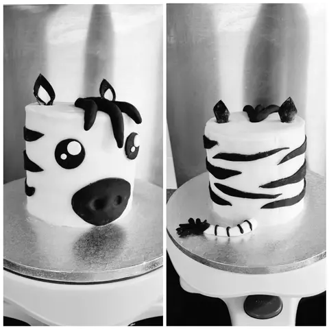 Gâteau en forme de zèbre rayé noir et blanc, vu de face et de dos