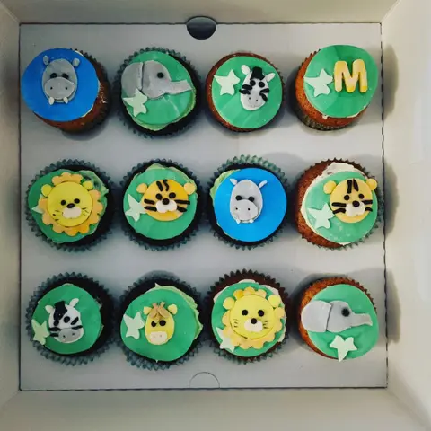 Boîte de cupcakes décorés d'animaux de la savane sur fond vert et bleu