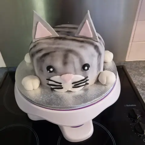 Gâteau en forme de chat gris tigré aux oreilles roses, moustaches noires et pattes blanches posées devant