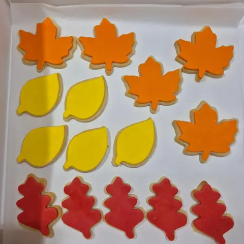 Sablés en forme de feuilles d'érable orange, de feuilles jaunes et de feuilles de chêne rouges, rangés en boîte